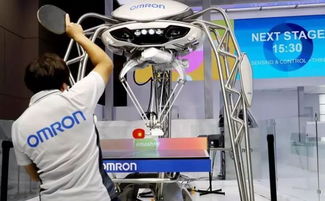 聚焦進博會 三成參展企業來自“一帶一路”沿線，共繪經貿合作新圖景